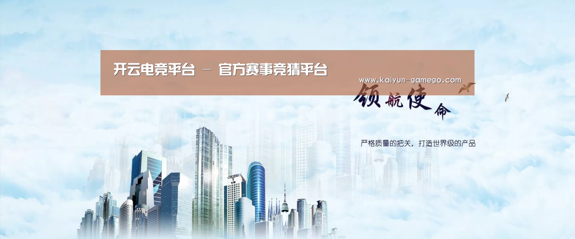 开云体育公司