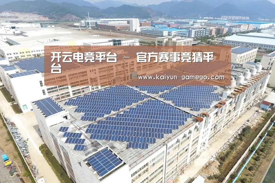 案例展示三