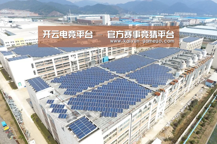 案例展示二