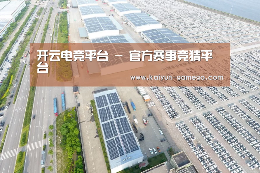案例展示一