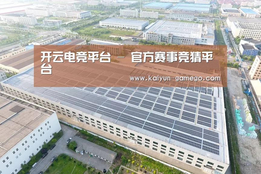 案例展示三