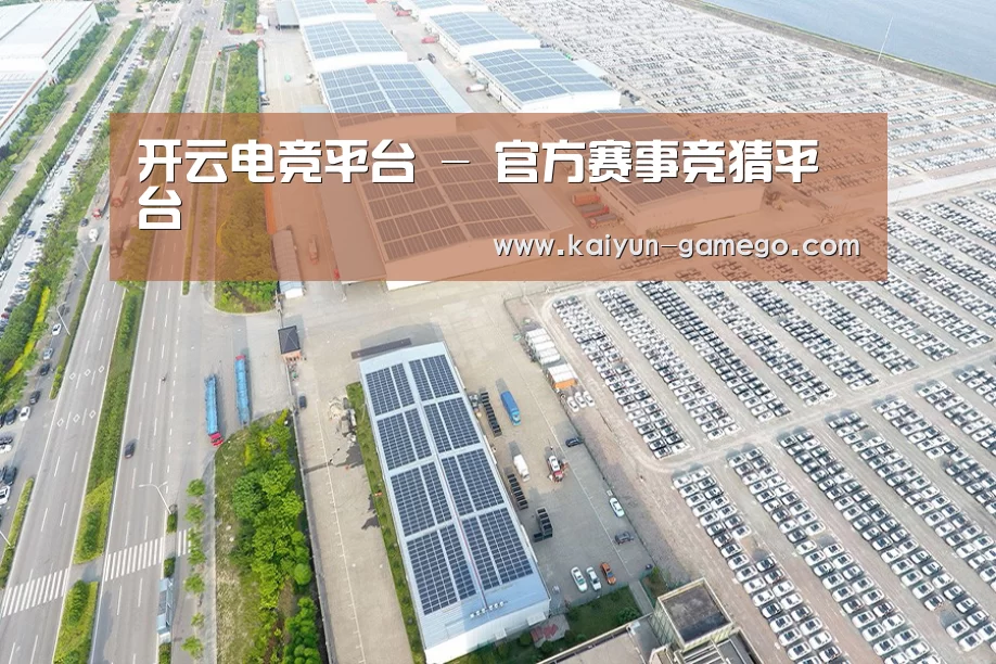 案例展示一