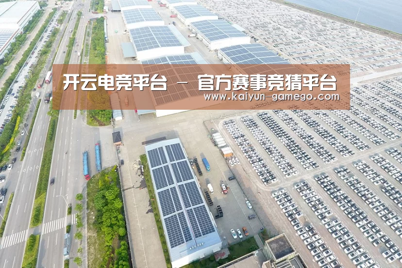 案例展示四