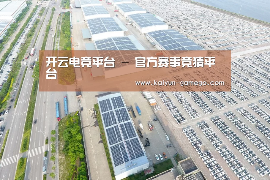 案例展示三