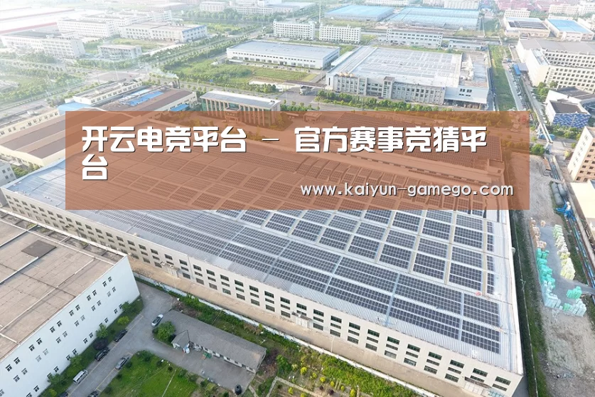 案例展示四
