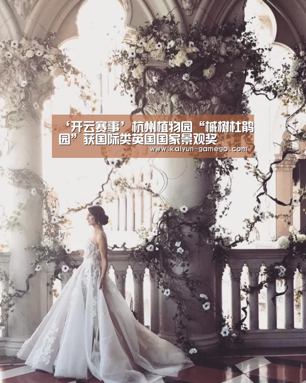 开云篮球
