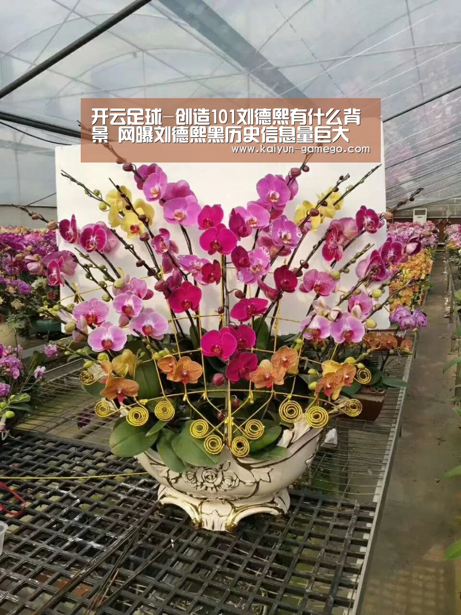 开云足球-创造101刘德熙有什么背景 网曝刘德熙黑历史信息量巨大(图2) 开云足球
