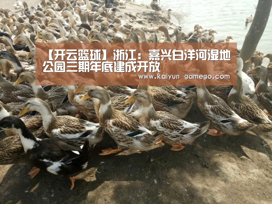 【开云篮球】浙江:嘉兴白洋河湿地公园三期年底建成开放(图1) 开云篮球