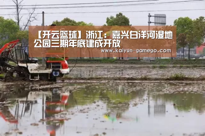 【开云篮球】浙江:嘉兴白洋河湿地公园三期年底建成开放(图2) 开云赛事