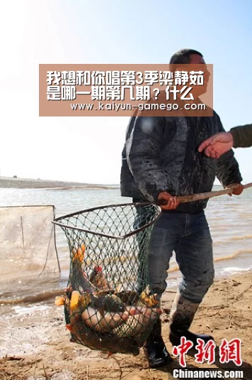 开云体育
