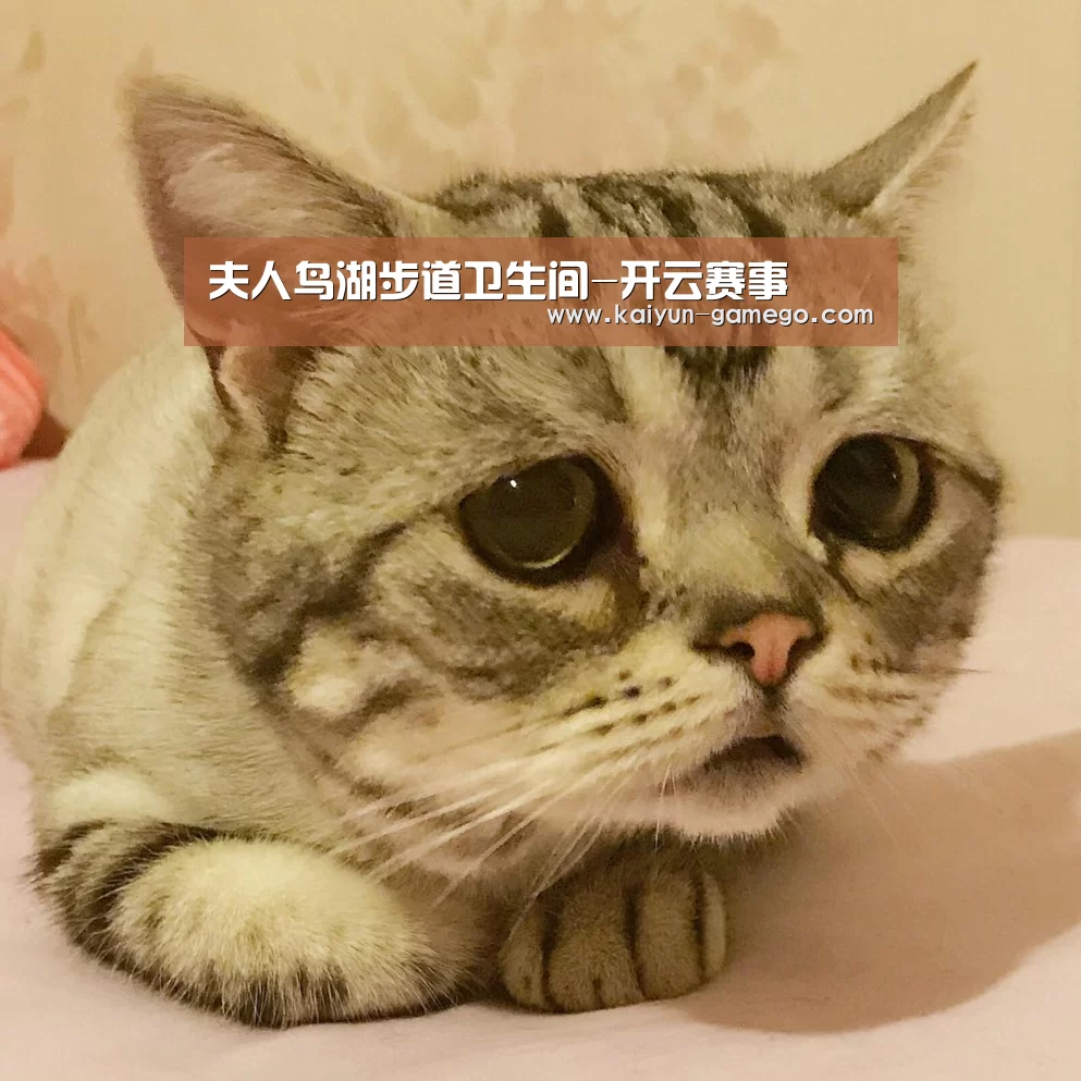 开云足球