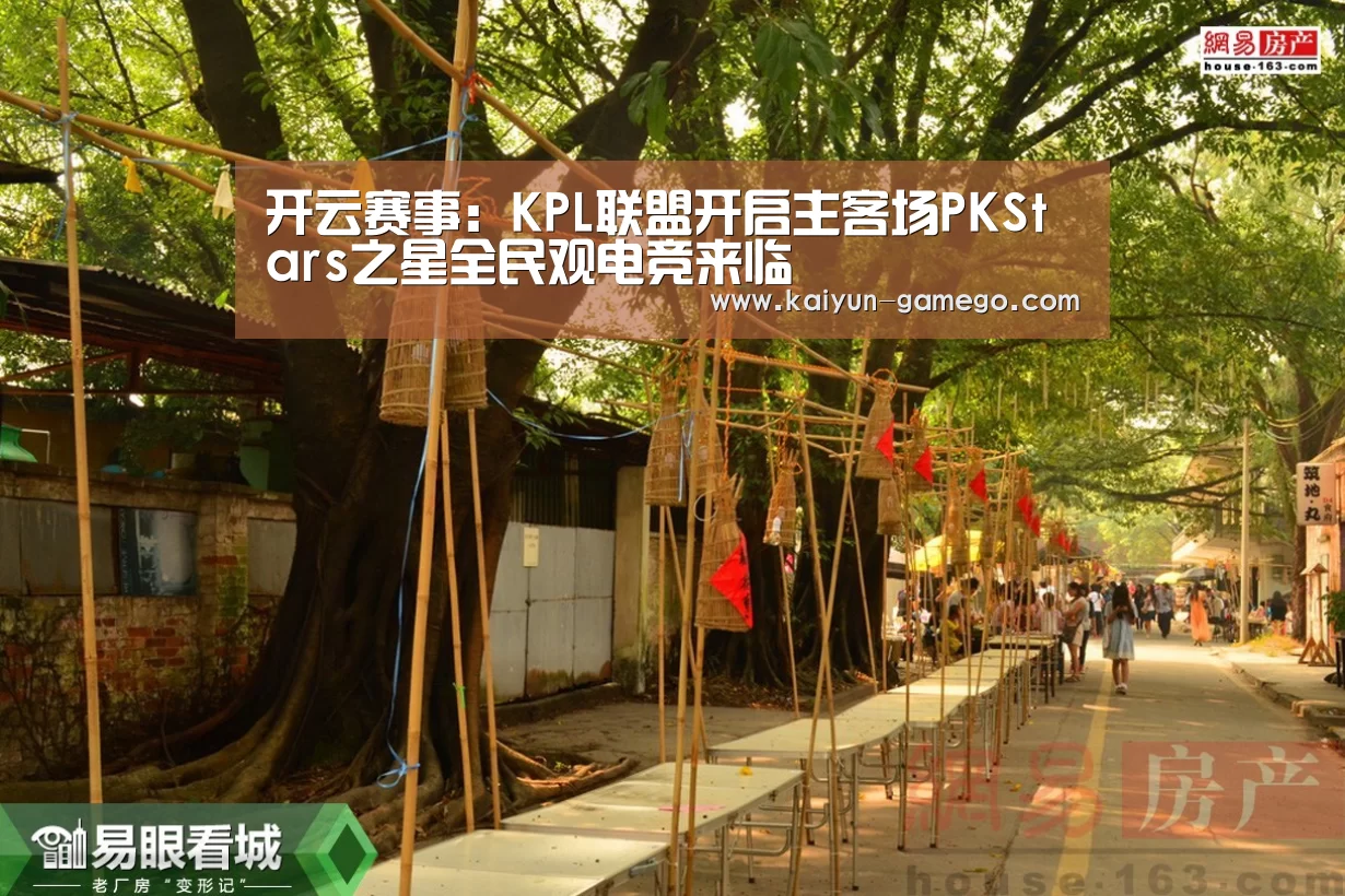 开云篮球