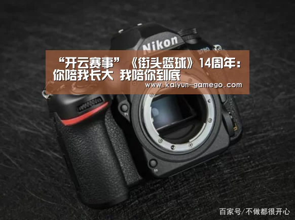 “开云赛事”《街头篮球》14周年:你陪我长大 我陪你到底(图1) 开云体育