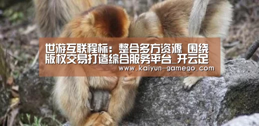 世游互联程标:整合多方资源 围绕版权交易打造综合服务平台_开云足球(图4) 开云体育