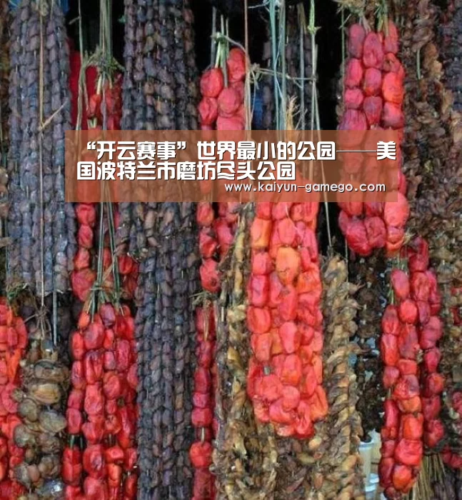 “开云赛事”世界最小的公园——美国波特兰市磨坊尽头公园(图1) 开云体育