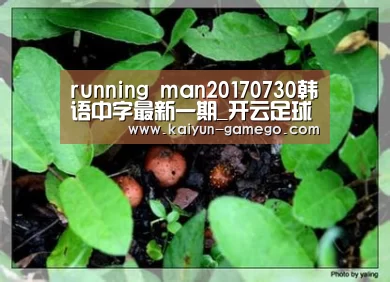 running man20170730韩语中字最新一期_开云足球(图2) 开云体育